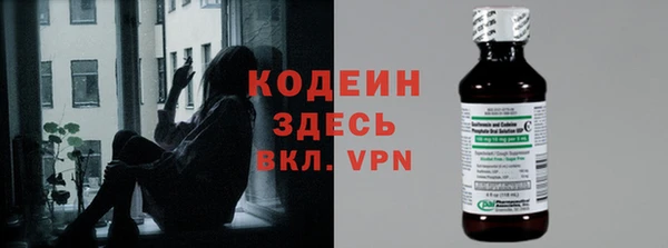 крисы Магас