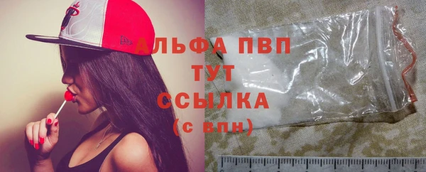 крисы Магас