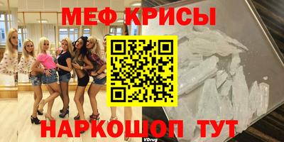 тгк Кингисепп