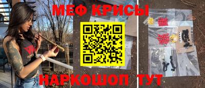 тгк Кингисепп