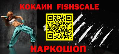 тгк Кингисепп