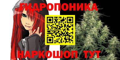 тгк Кингисепп
