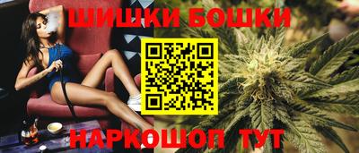 тгк Кингисепп