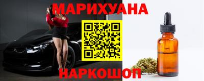 тгк Кингисепп