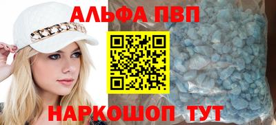 тгк Кингисепп