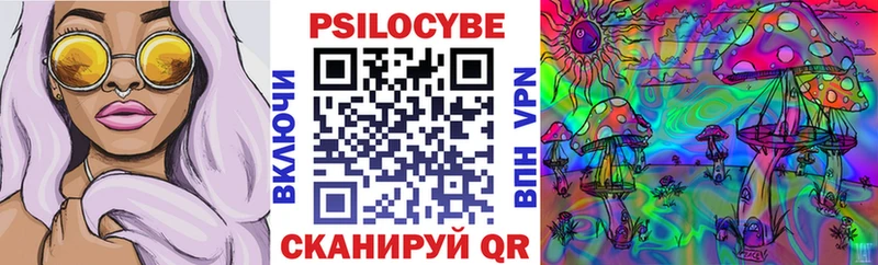 Псилоцибиновые грибы Psilocybine cubensis  Пенза 