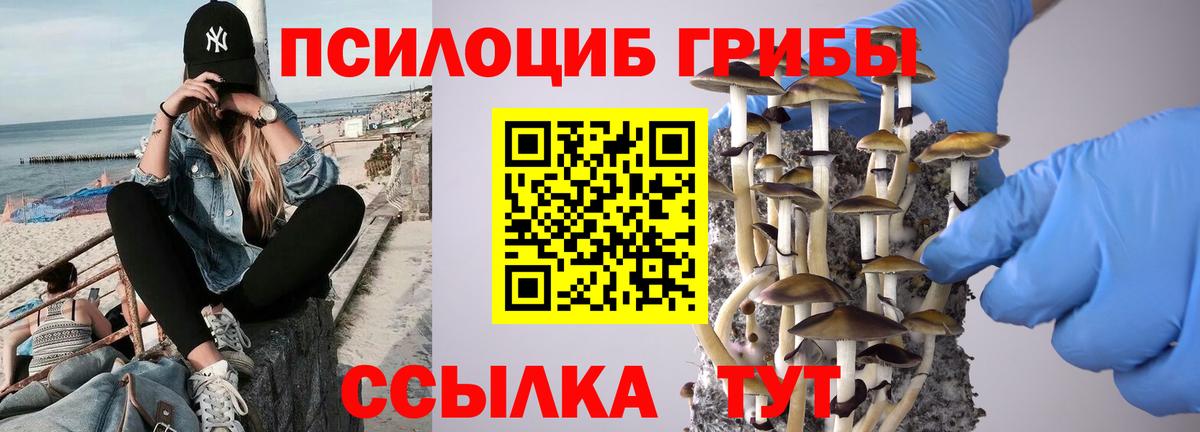 Галлюциногенные грибы прущие грибы  Псилоцибиновые грибы Magic Shrooms  Пенза  Вход с VPN 