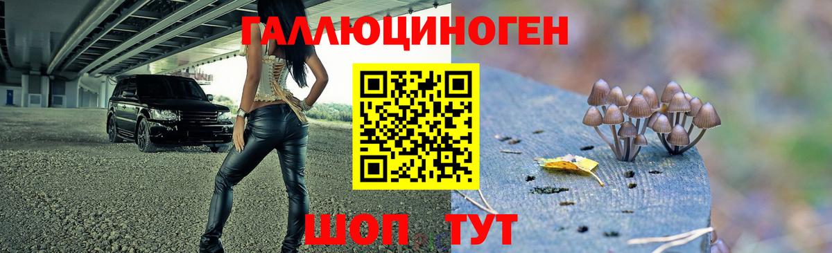 Псилоцибиновые грибы ЛСД Пенза